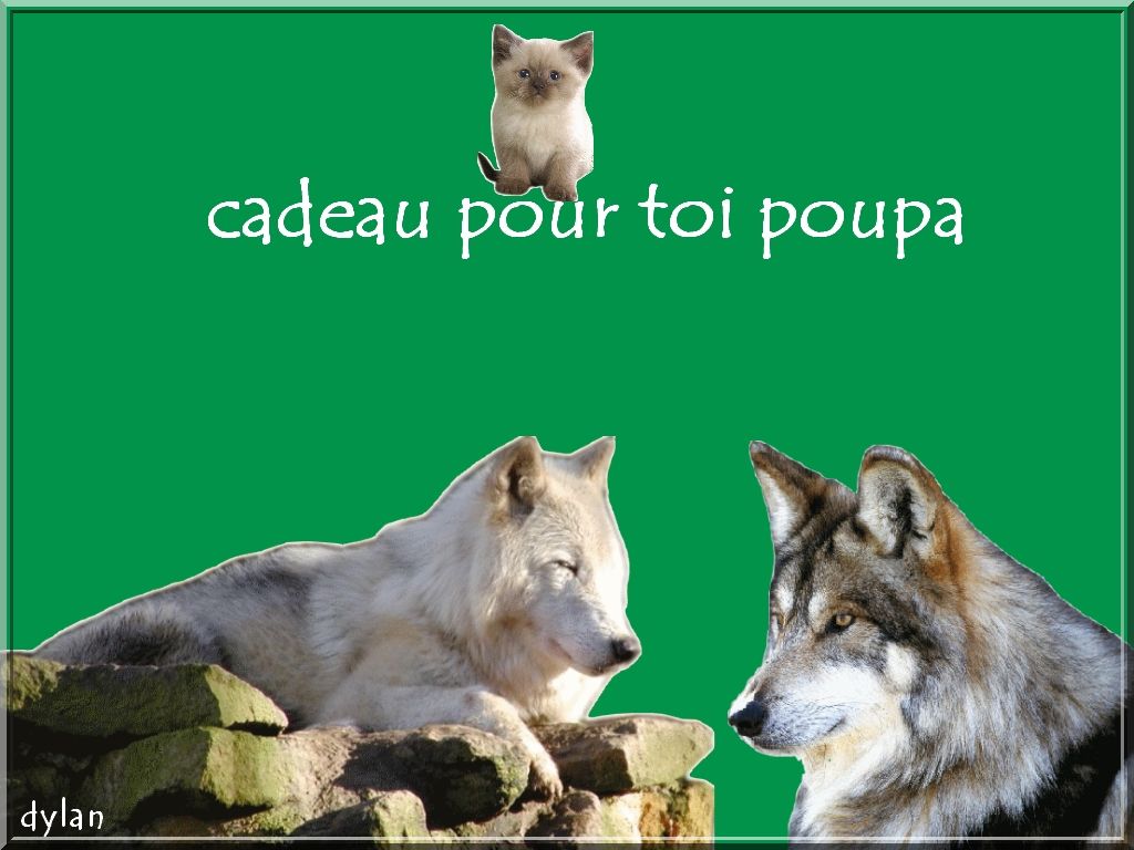 les poupées lol animaux